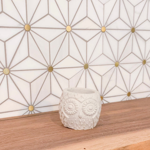 Mini Owl Planter