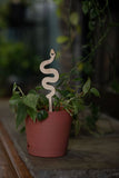 Snake Plant Trellis